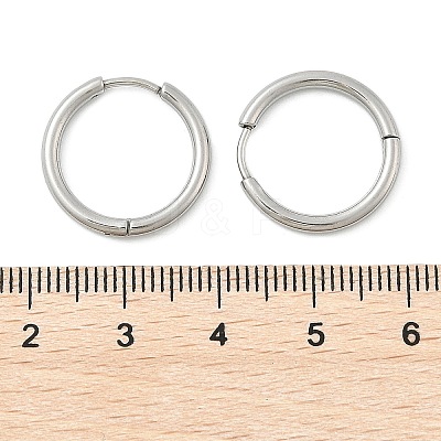 Tarnish Resistant 304 Stainless Steel Hoop Earrings EJEW-P177-P-09-1