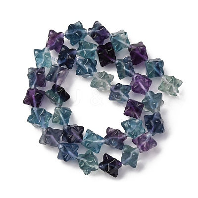 Natural Fluorite Beads Strands G-NH0063-01-1