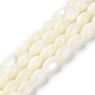 Natural Trochus Shell Beads Strands BSHE-E030-02A-1