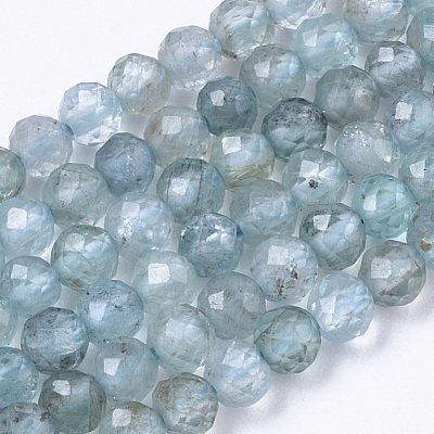 Natural Apatite Beads Strands G-R462-026B-1