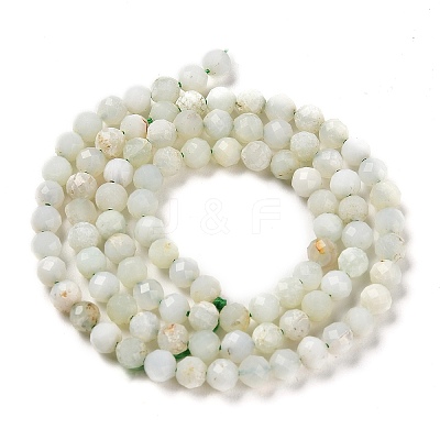 Natural Green Opal Beads Strands G-Z035-A02-03B-1