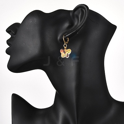 304 Stainless Steel Glass Hoop Earrings EJEW-JE06486-1