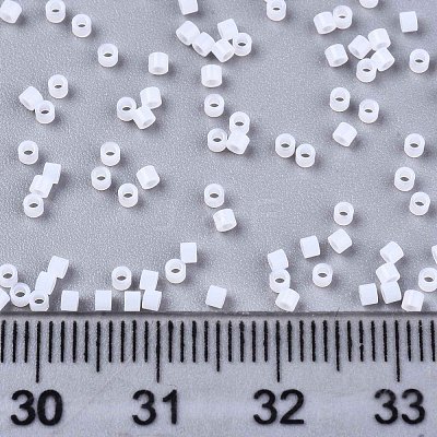 FGB 11/0 Grade A Glass Seed Beads X-SEED-S030-1141-1
