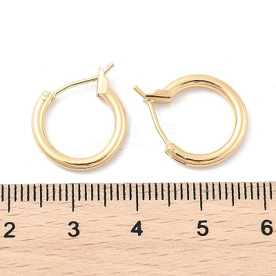 Brass Hoop Earrings X-KK-S356-150G-NF-1