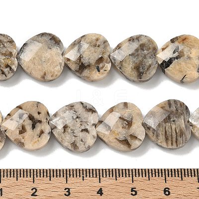 Natural Feldspar Beads Strands G-A309-A02-01-1