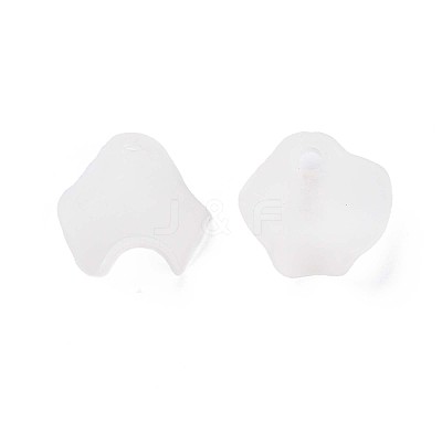 Transparent Acrylic Beads X-MACR-S373-106-D07-1