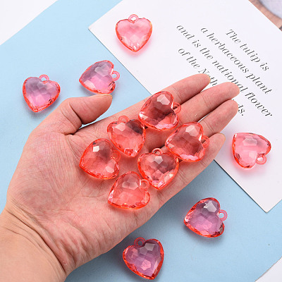 Transparent Acrylic Pendants TACR-T024-03B-910-1