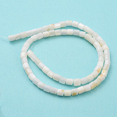 Natural Freshwater Shell Beads Strands SHEL-F008-04A-1