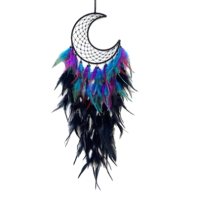Iron Woven Web/Net with Feather Pendant Decorations PW-WGCA487-01-1