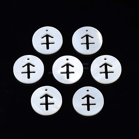 Natural Freshwater Shell Charms SHEL-N027-10C-1