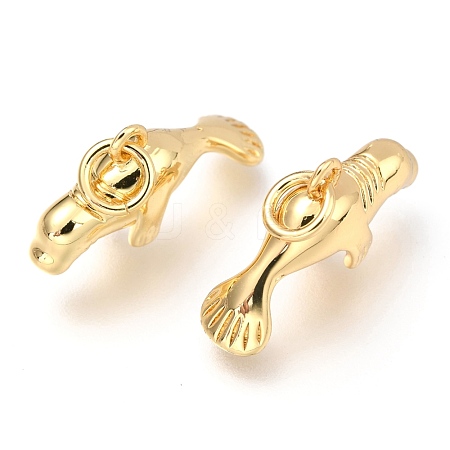 Brass Pendants X-KK-Z014-01G-1