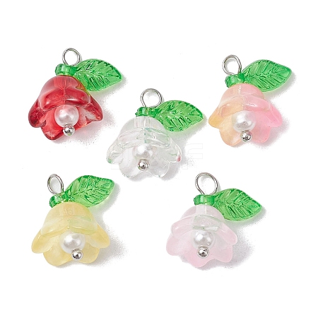 Mixed Color Glass Pearl & Acrylic Charms PALLOY-JF02567-01-1