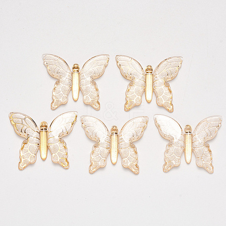 Transparent Acrylic Pendants LS-X-TACR-R140-06D-1